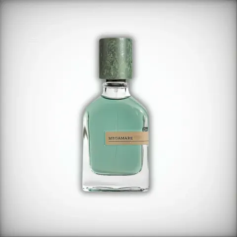عطر ميجامير للرجال – Megamare